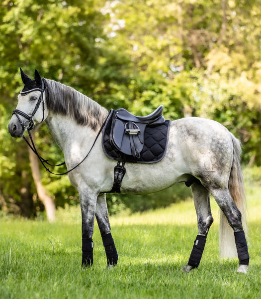 Saddle Pad Esperia - Dressage/Pony
