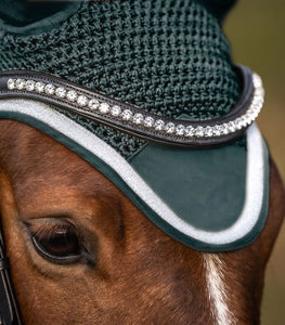 Fly Veil Competition