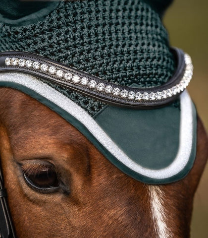 Fly Veil Competition