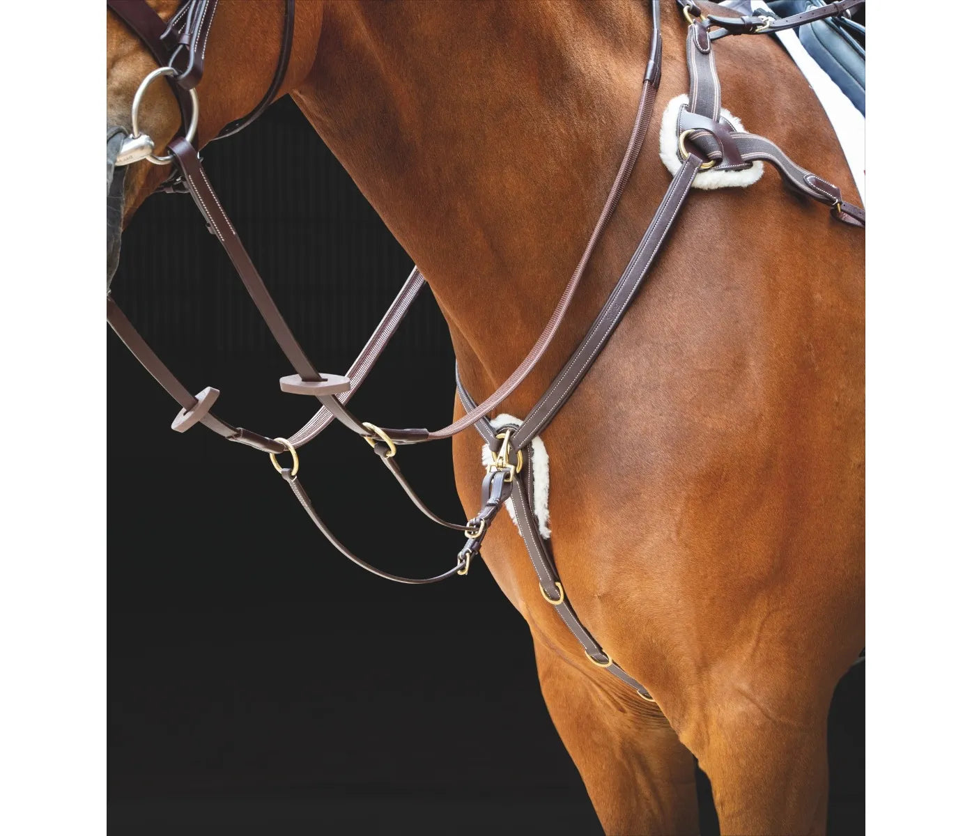 Salisbury 5 Point Breastplate