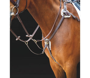 Salisbury 5 Point Breastplate
