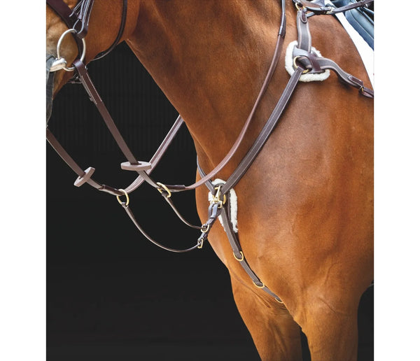 Salisbury 5 Point Breastplate