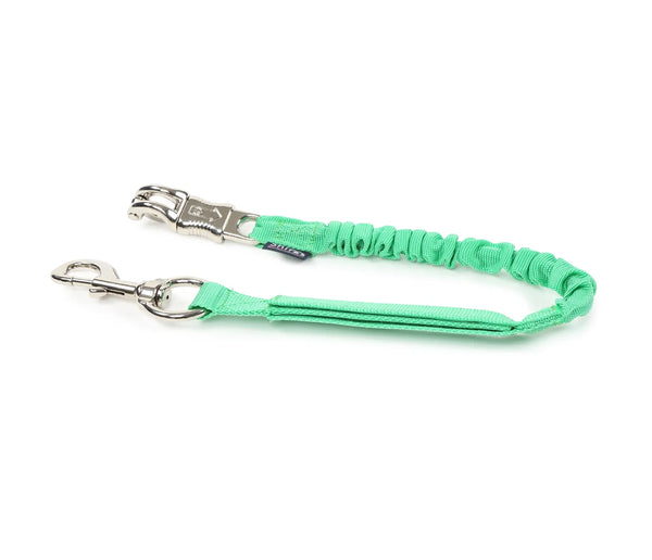 Bungee Trailer Tie