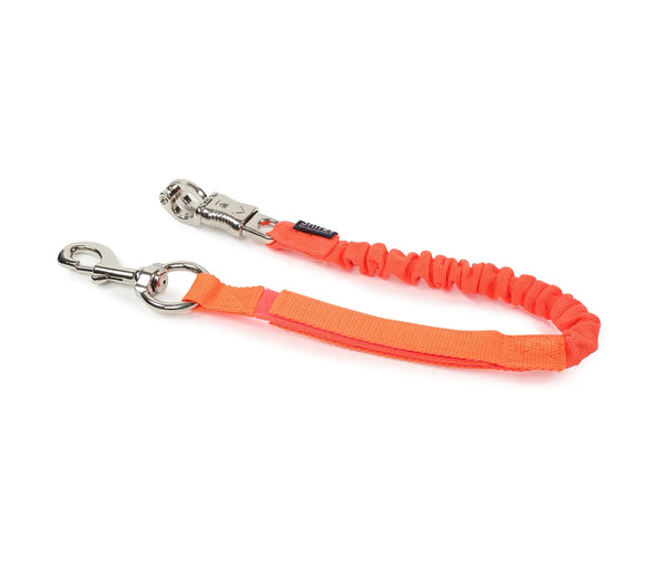 Bungee Trailer Tie