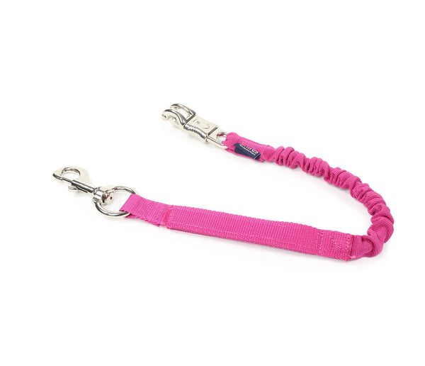 Bungee Trailer Tie