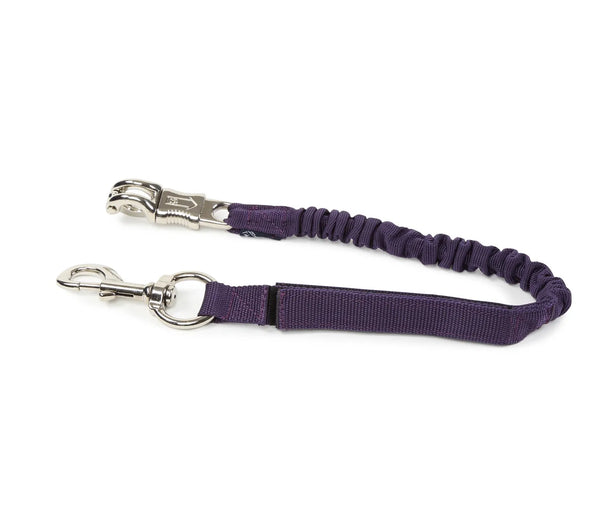 Bungee Trailer Tie