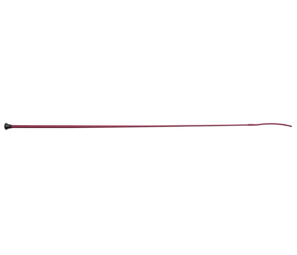 Schooling Whip
