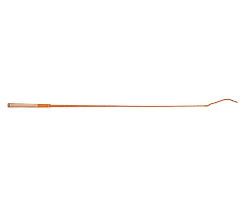 Rainbow Schooling Whip