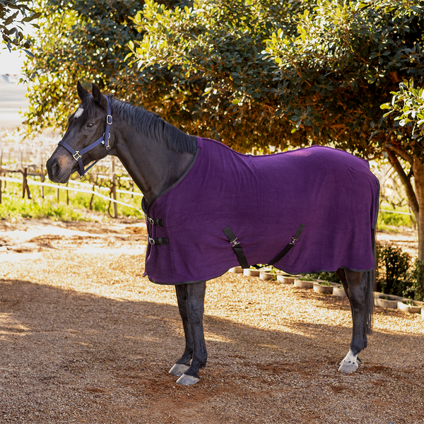 Buster Polar Fleece Blanket