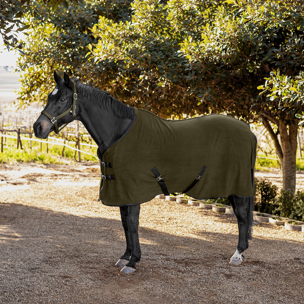 Buster Polar Fleece Blanket Limited Edition