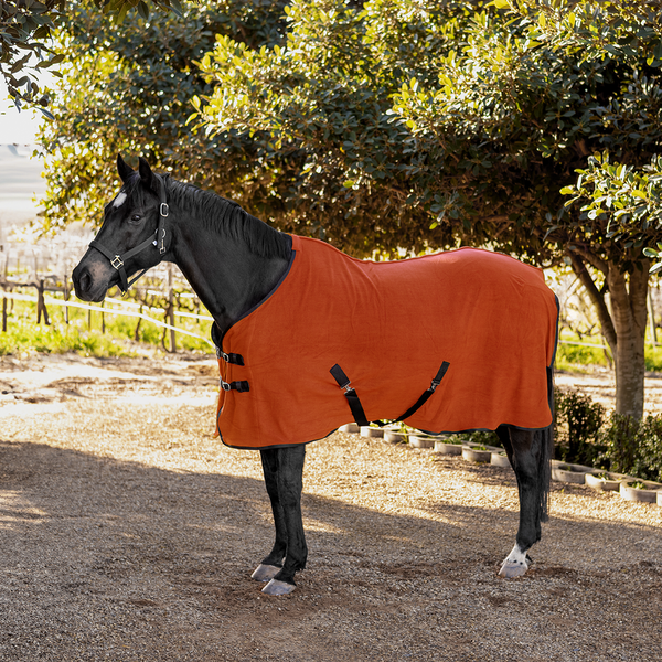 Buster Polar Fleece Blanket Limited Edition