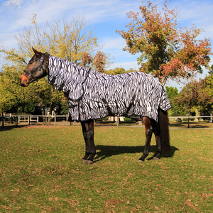 Zebra Fly Sheet Combo with Neck