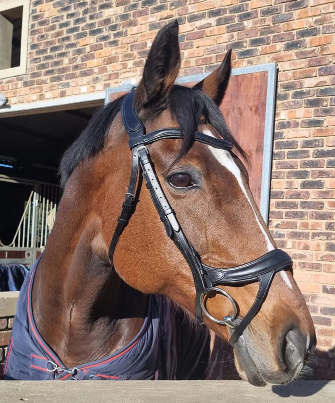 Bridle Anatomic Padded