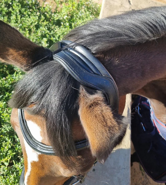 Bridle Anatomic Padded