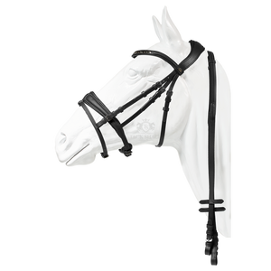 Capriole Bridle Pinnical