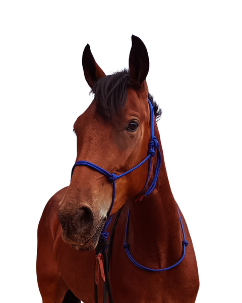 Standard Rope Halter Set (3m lead)