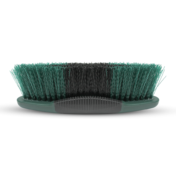 Tri Coloured Dandy Brush