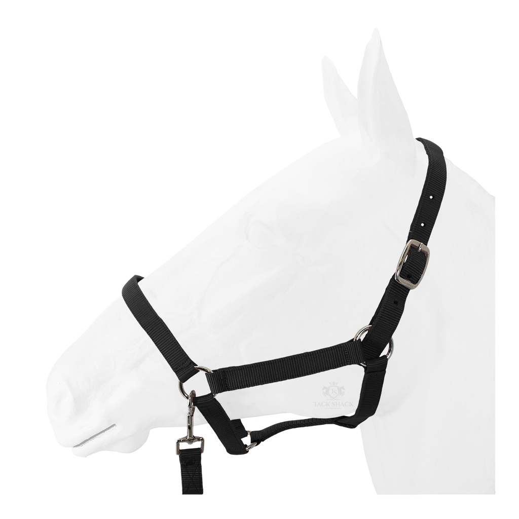 Equistyle Economy Halter with Lead