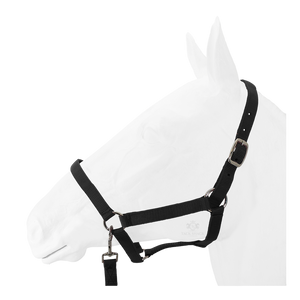 Equistyle Economy Halter with Lead