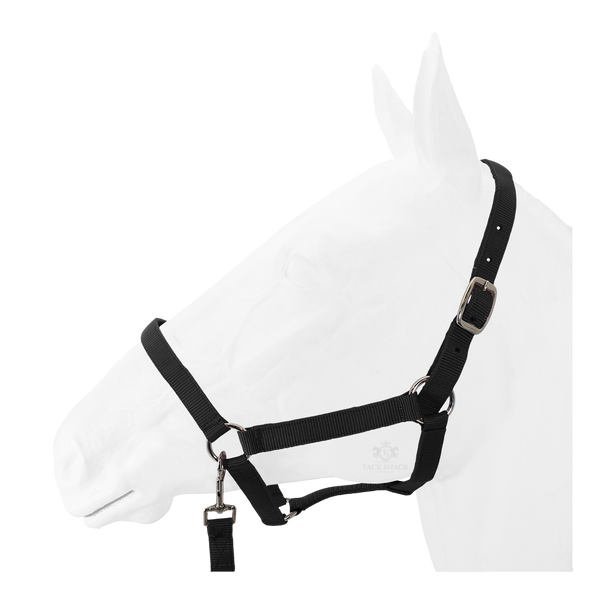 Equistyle Economy Halter with Lead