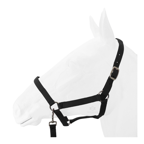 Equistyle Economy Halter with Lead