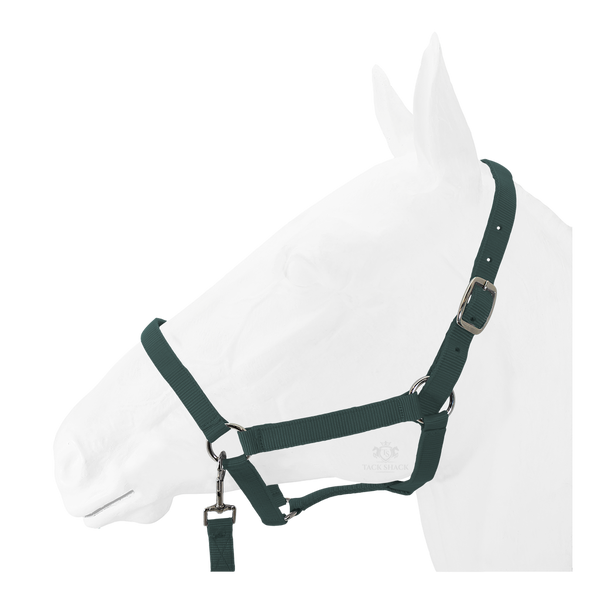 Equistyle Economy Halter with Lead