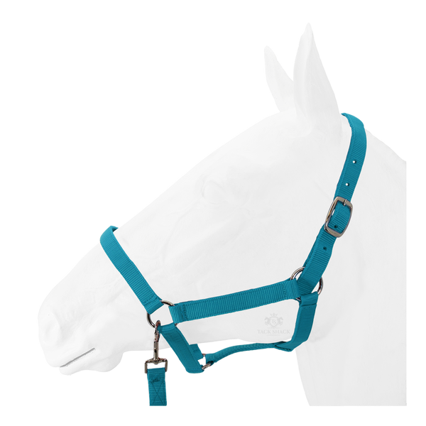 Equistyle Economy Halter with Lead