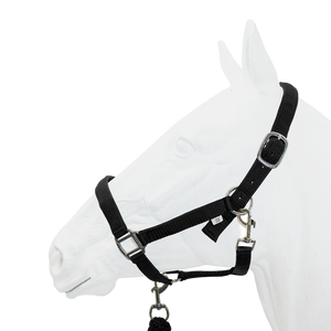 Equistyle Padded Halter with Rope Lead