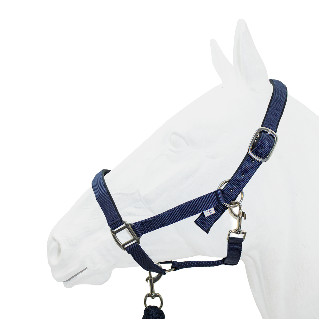 Equistyle Padded Halter with Rope Lead – Hat2Hoof