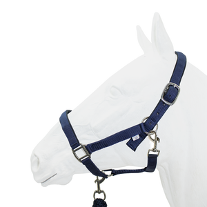 Equistyle Padded Halter with Rope Lead