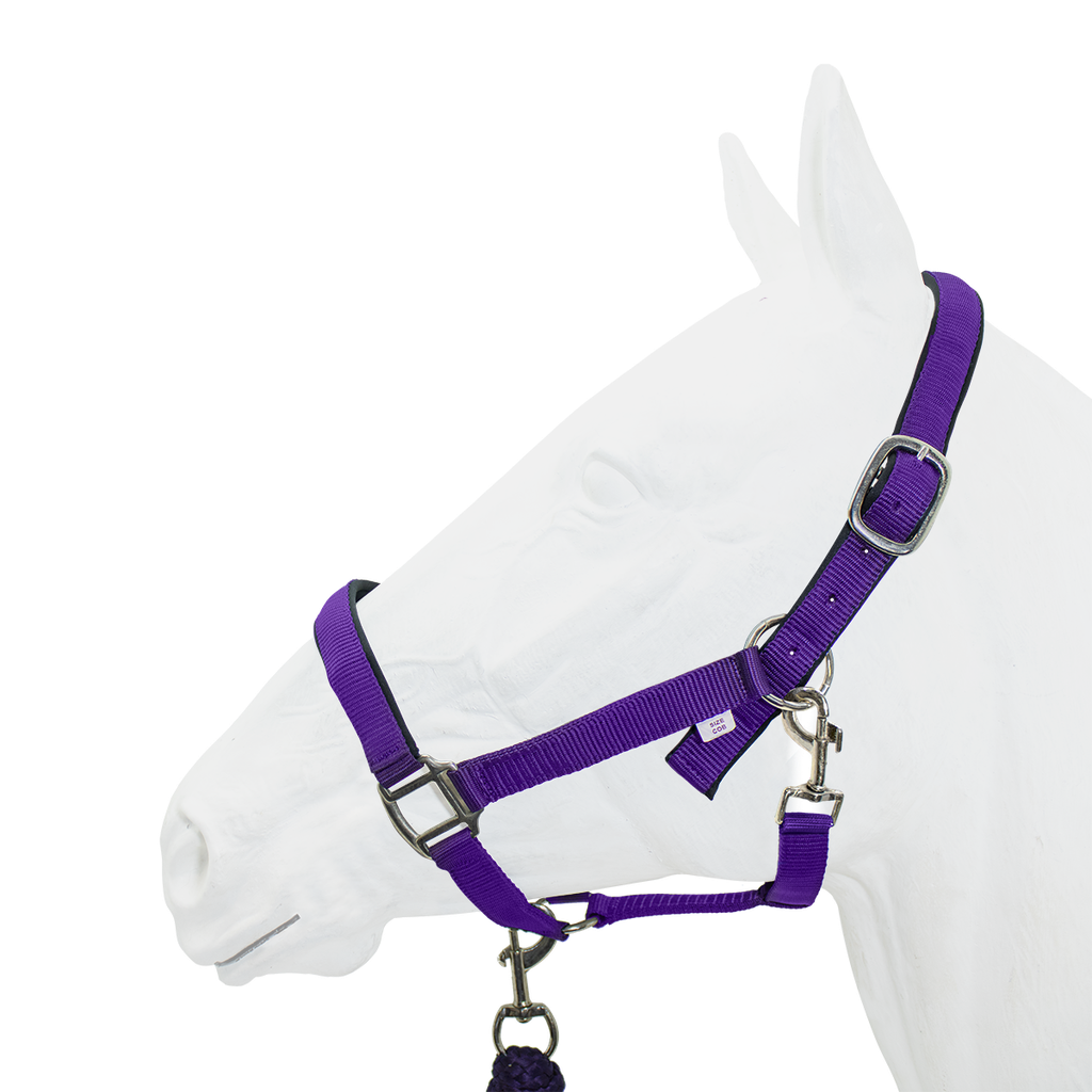 Equistyle Padded Halter with Rope Lead