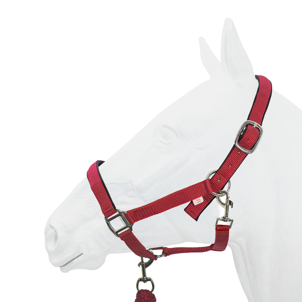 Equistyle Padded Halter with Rope Lead