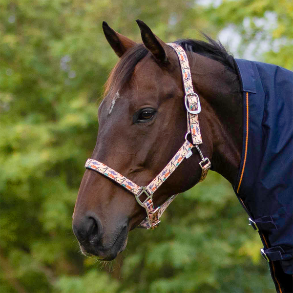 EquiStyle Floral Horse Print Halter with Lead