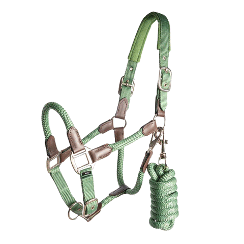 Regus Cornet Halter Set