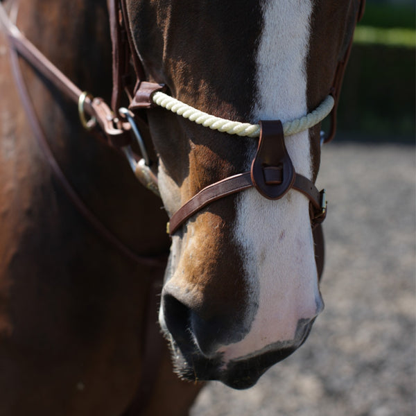 Espoir Rope Noseband