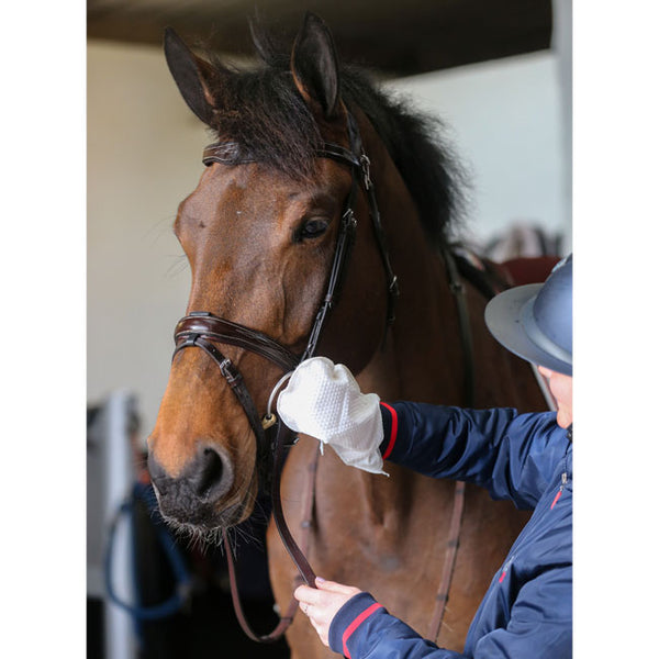 Carr Day Martin Belvoir Tack Cleaner Mitts