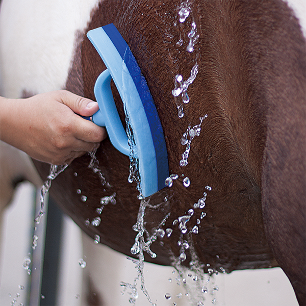 Plastic Sweat Scraper