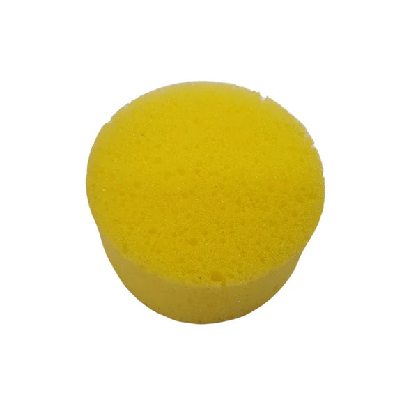 Sponge Sea Round