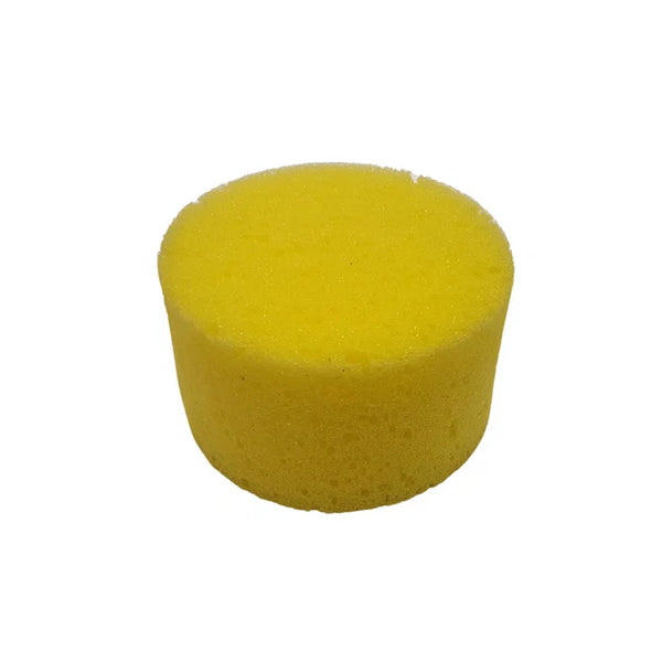 Sponge Sea Round