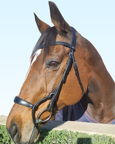 Anatomic Rolled Bridle