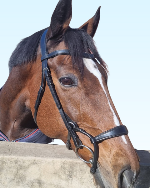 Anatomic Rolled Bridle