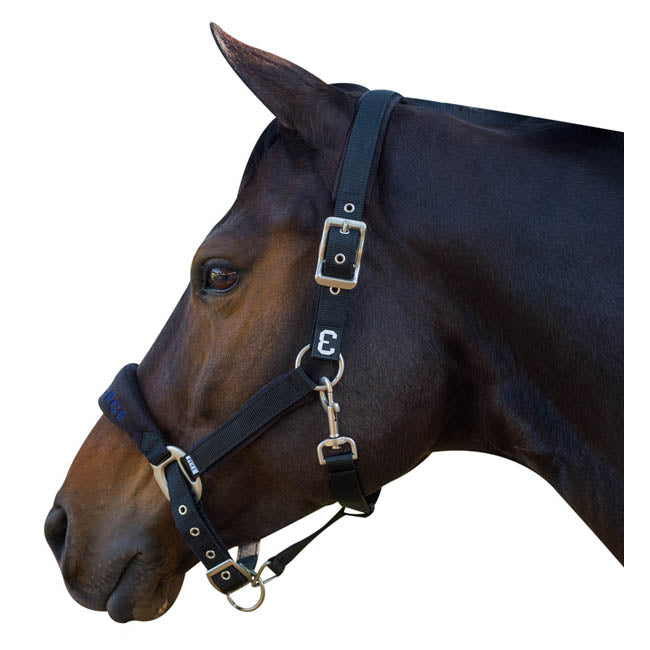 Equiforce Fleece Halter Set