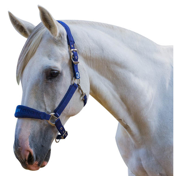 Equiforce Fleece Halter Set