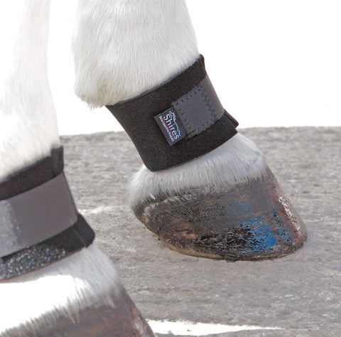 Pastern Wrap