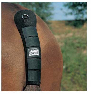 Eskadron Tail Guard