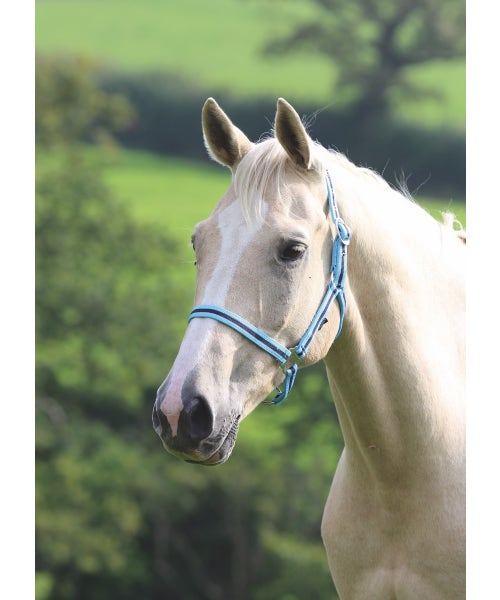 Wessex Headcollar