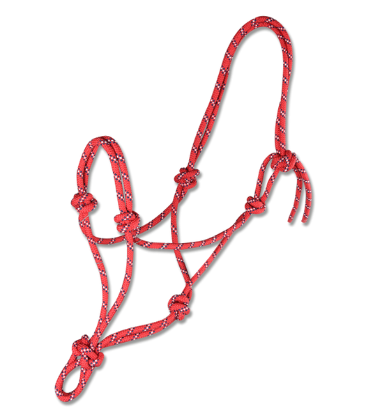 Knotted Rope Halter