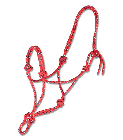 Knotted Rope Halter