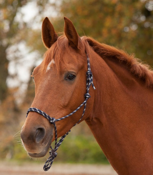 Knotted Rope Halter