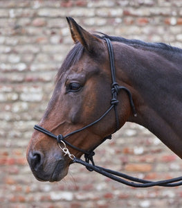 Knotted Halter with Reins